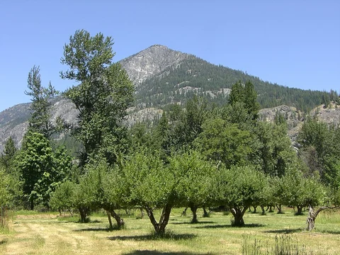 An image depicting the trail Buckner Orchard Trail and its surrounding area.