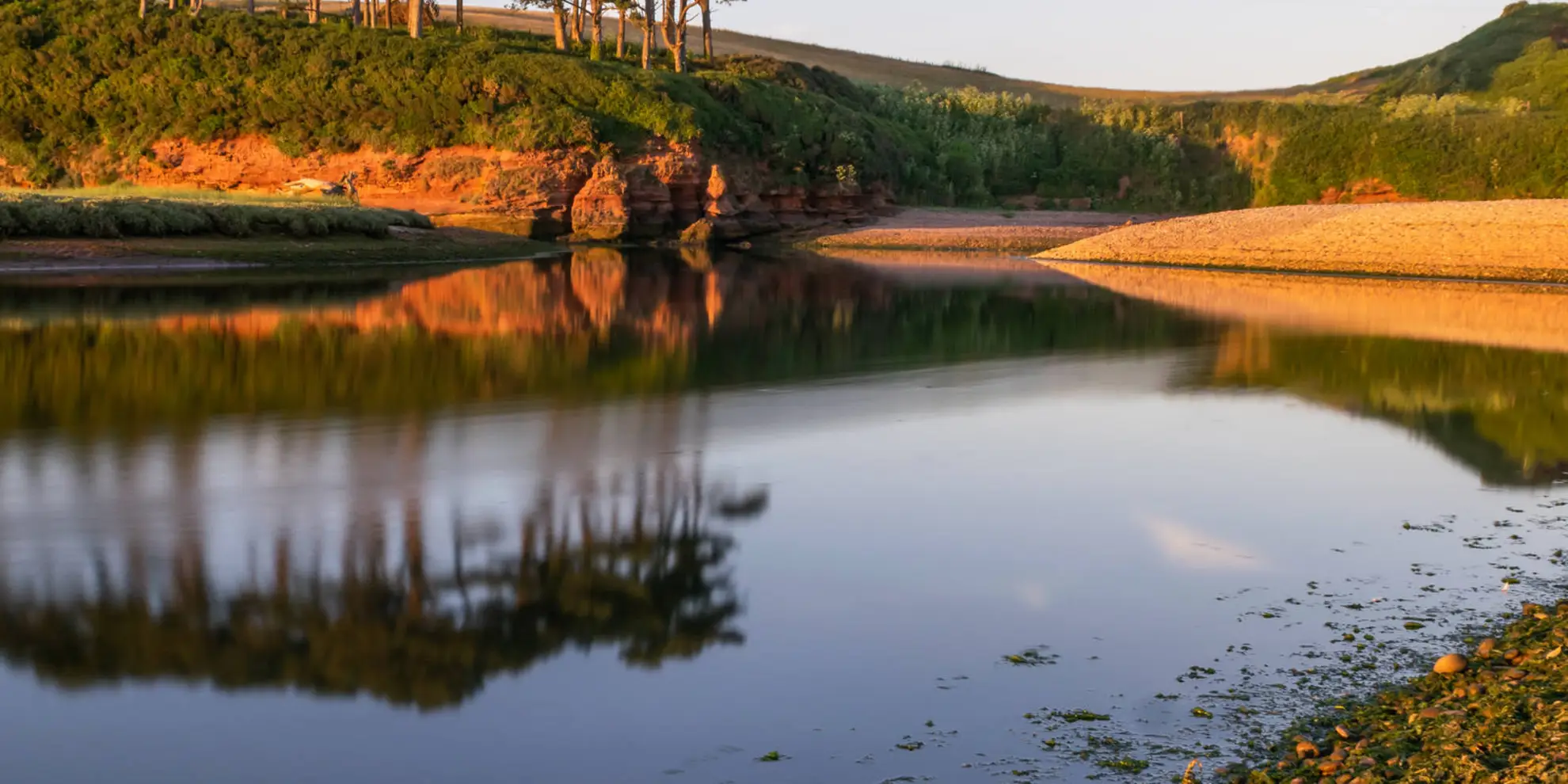 An image depicting the trail Otter Valley Wildlife Walk and its surrounding area.