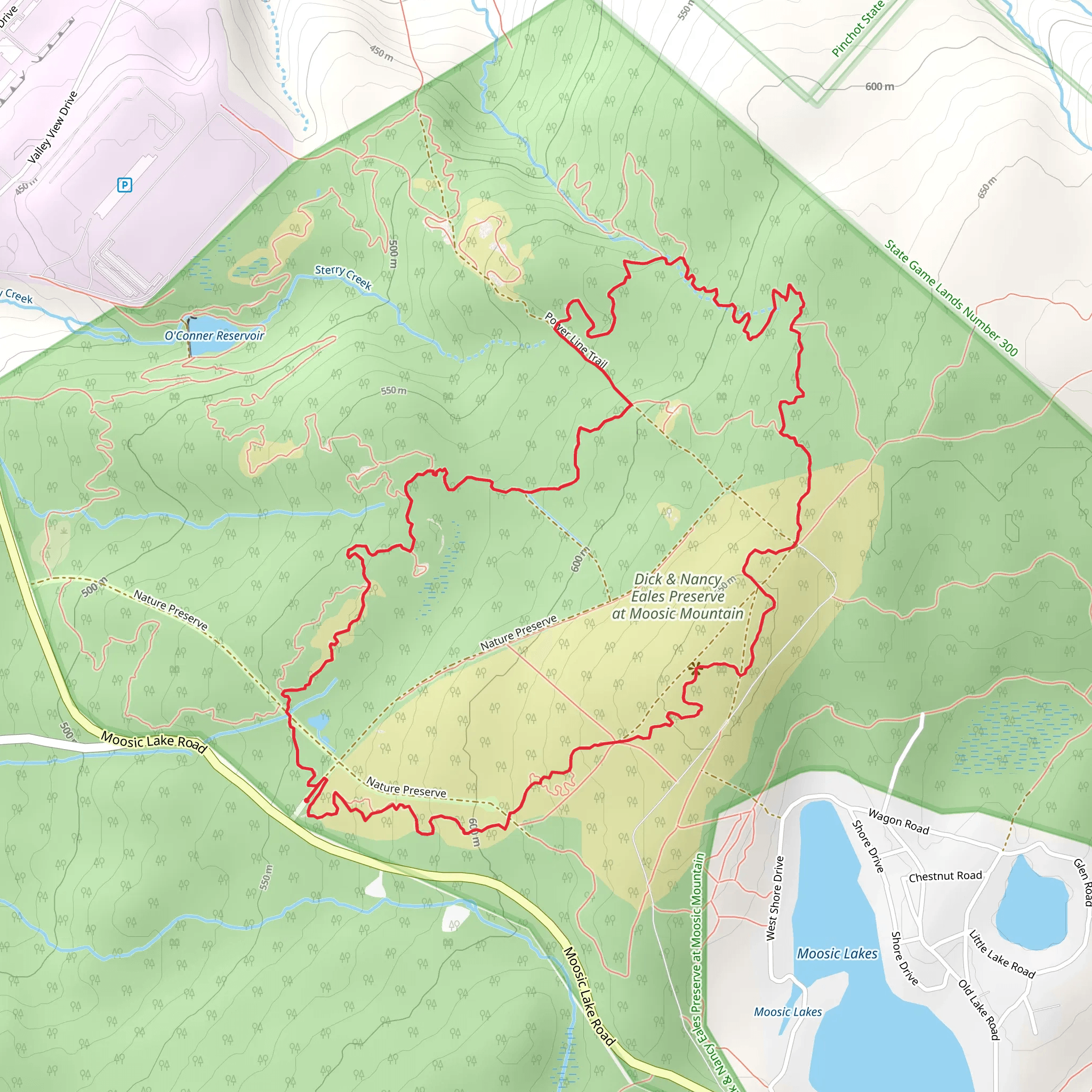 Stonehenge, Conglomerate and Blueberry Trail Loop mobile static map