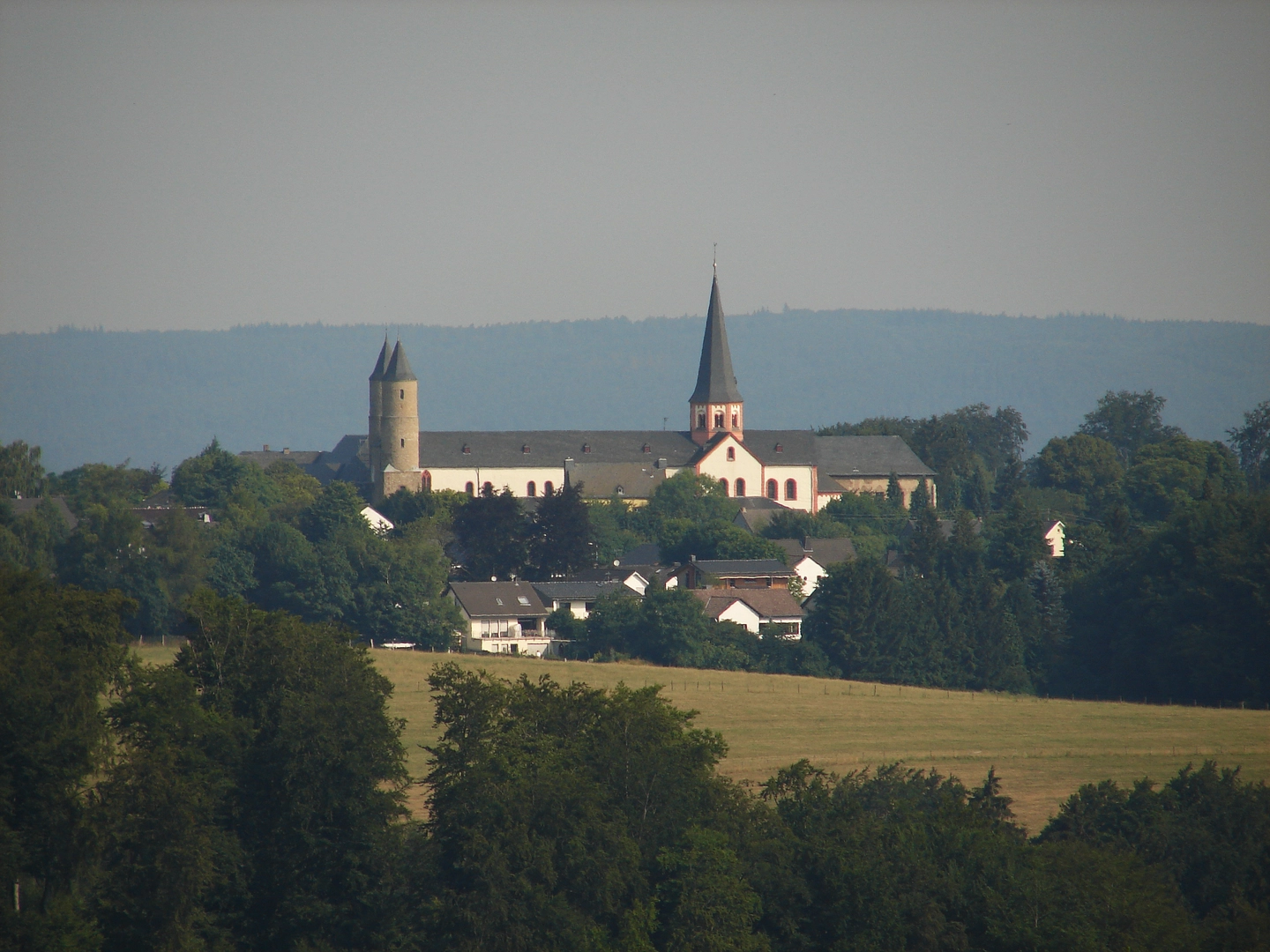 An image depicting the trail Eifeler Quellenpfad and its surrounding area.