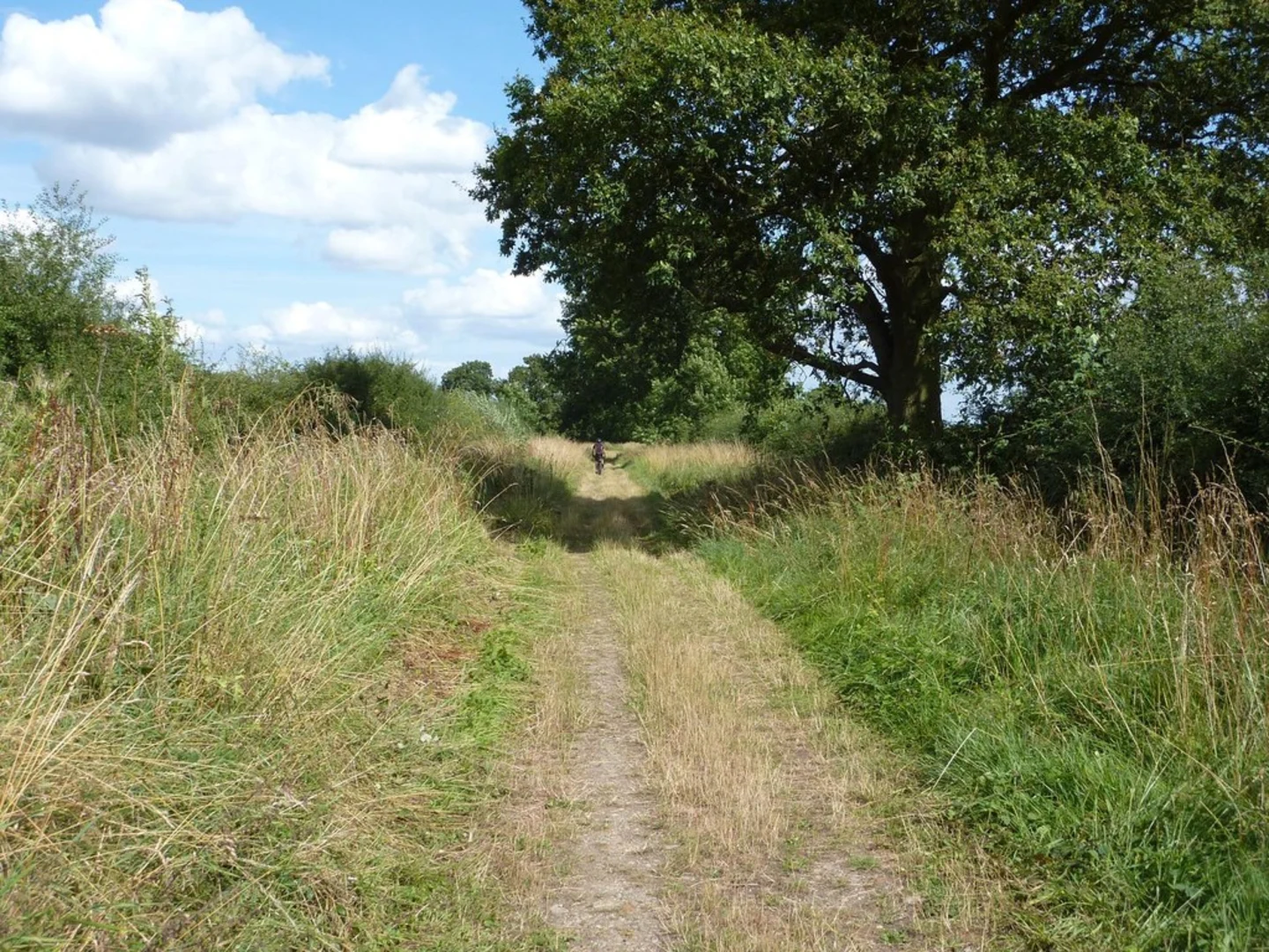 An image depicting the trail Fermyn Woods, Lyveden, Fermyn Woods and Geddington Chase Loop and its surrounding area.