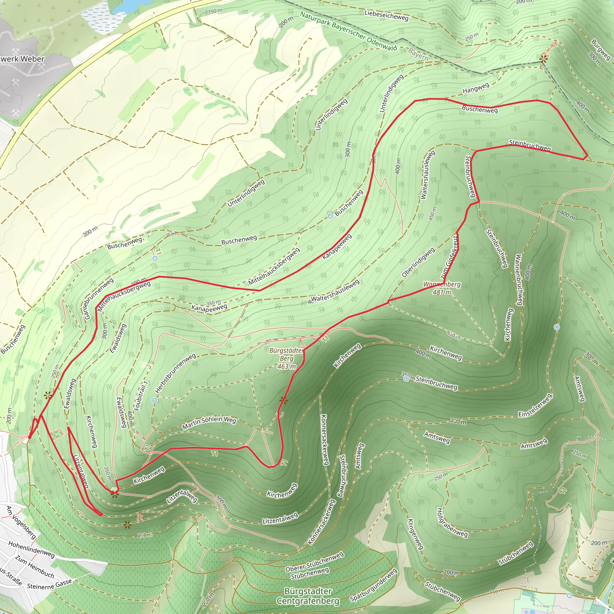 Buergstadt and Nibelungensteig Loop mobile static map