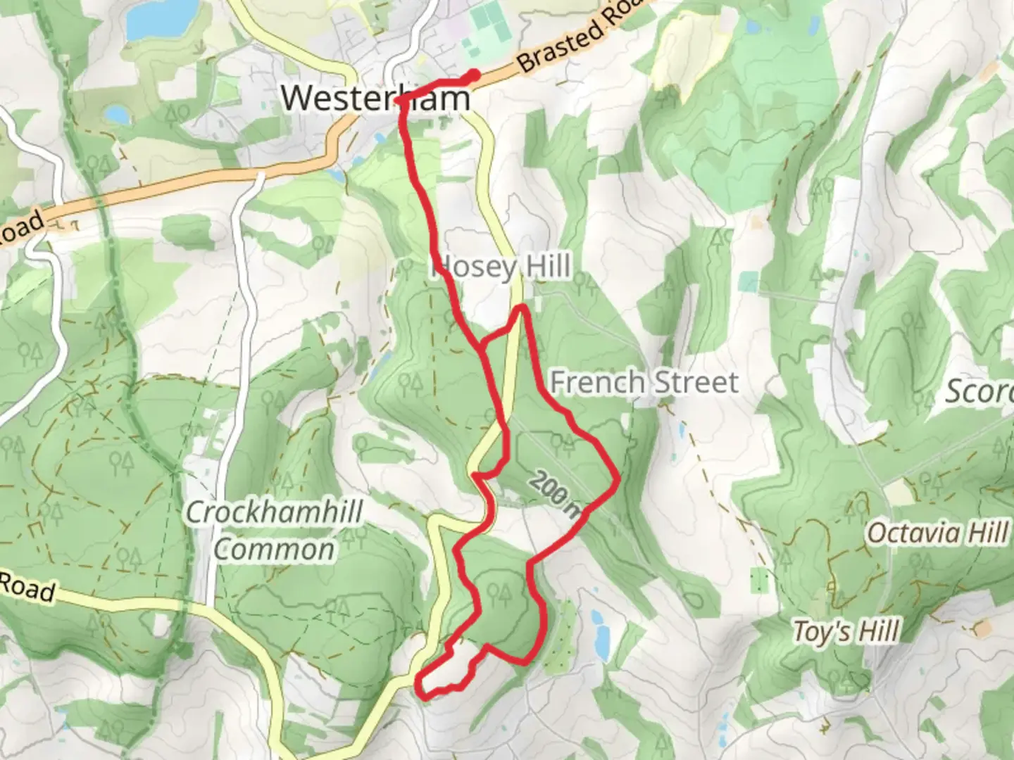 An image depicting the trail Mariner's Hill and Hosey Common Loop and its surrounding area.