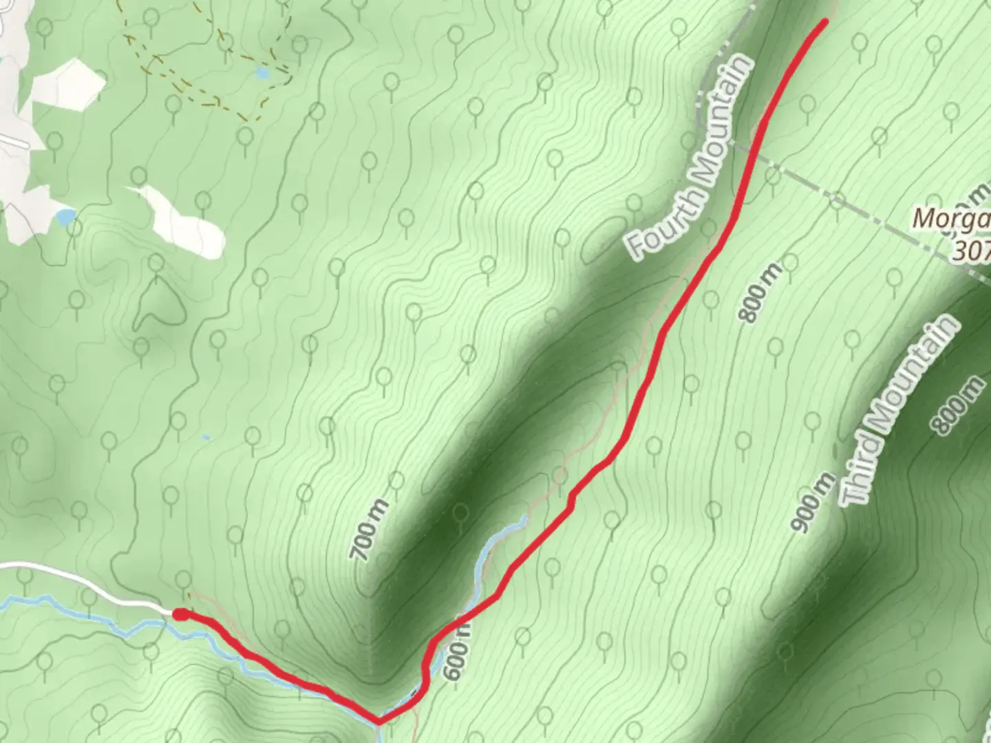 An image depicting the trail Fridley's Gap and Massanutten South Trail and its surrounding area.