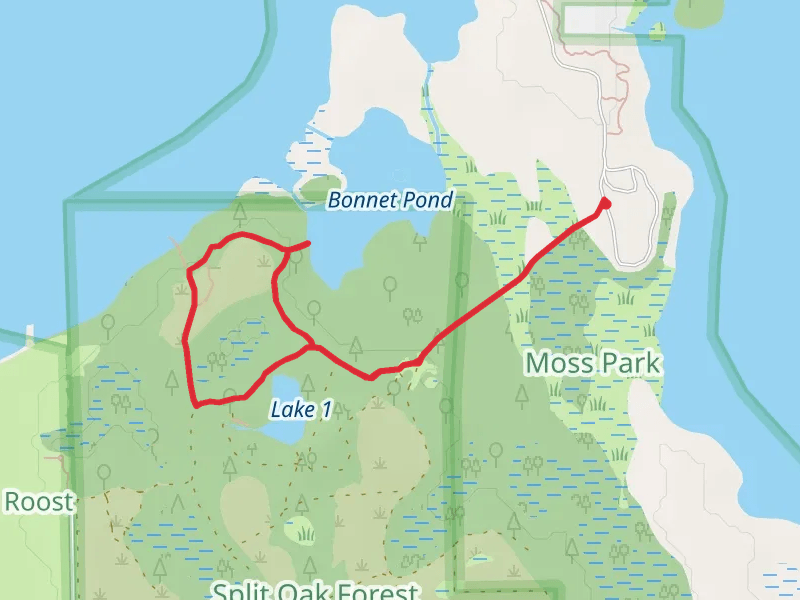 Fox Squirrel Meadow Loop