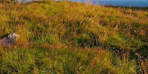 An image depicting the trail Montpellier Hill and Cruagh Loop and its surrounding area.
