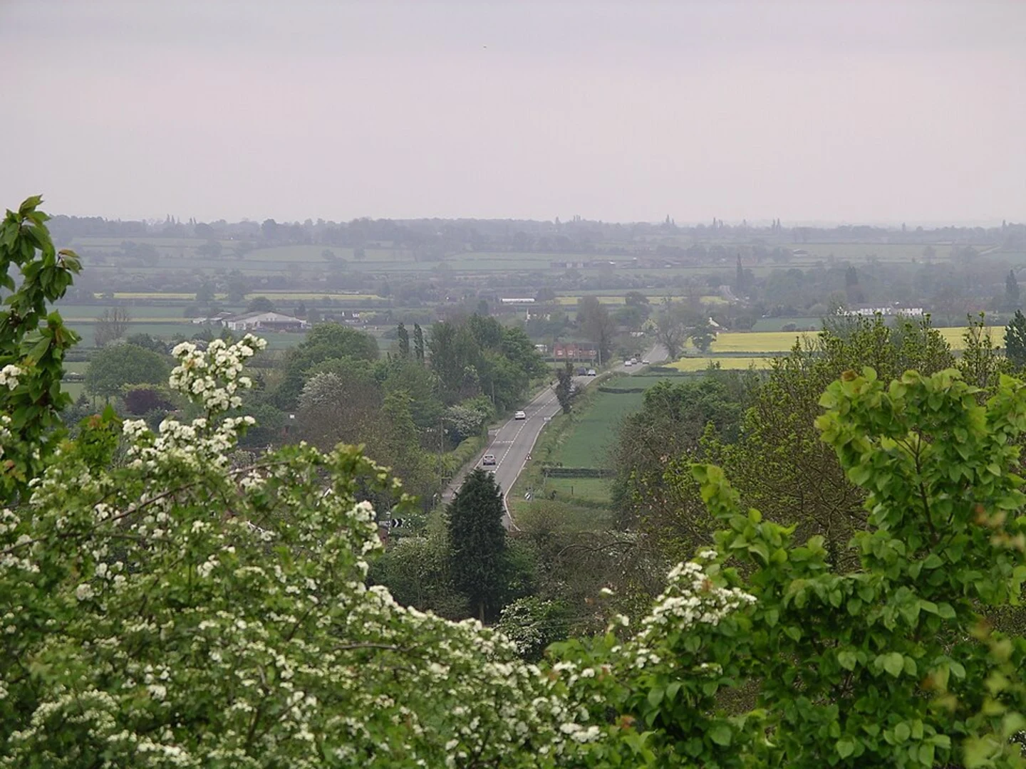 An image depicting the trail Brinklow Castle Loop and its surrounding area.