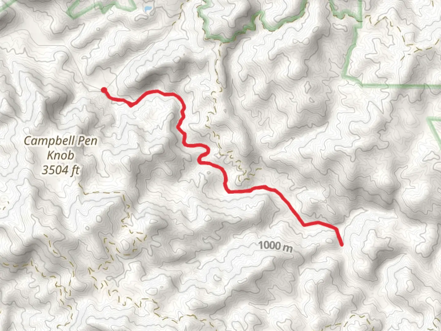 An image depicting the trail Laurel Fork Trail Out and Back and its surrounding area.