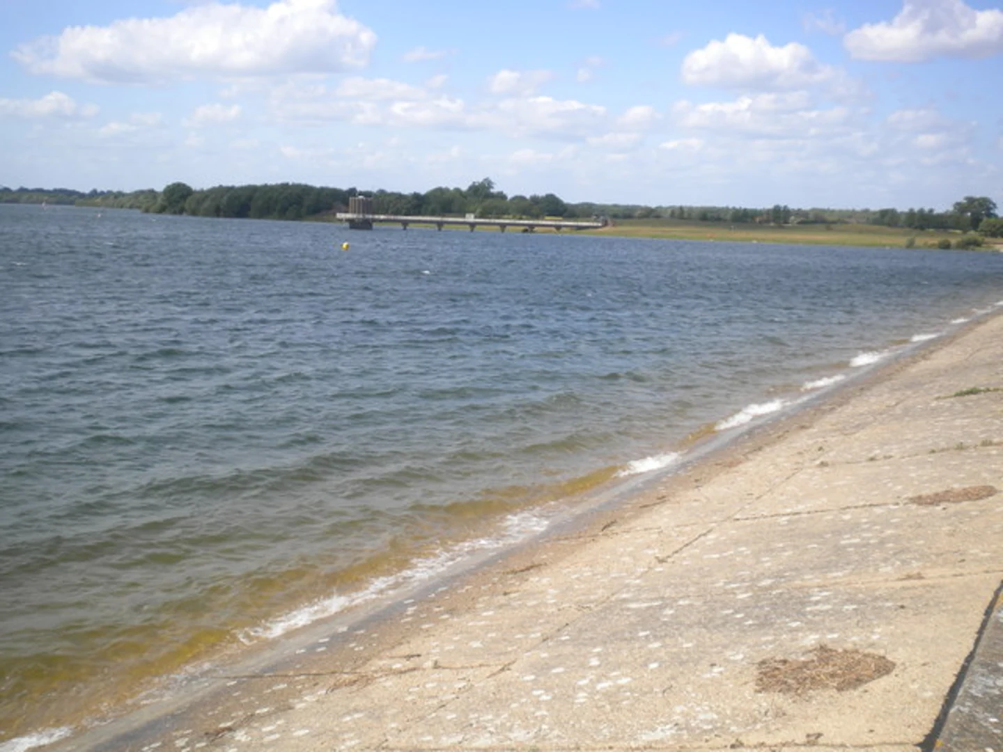 An image depicting the trail Holbrook Wood and Alton Water Walk and its surrounding area.