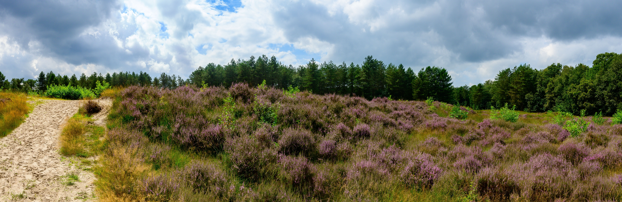 An image depicting the trail Ossendrechtse Duinen, Groote Meer and Kleine Meer Loop and its surrounding area.