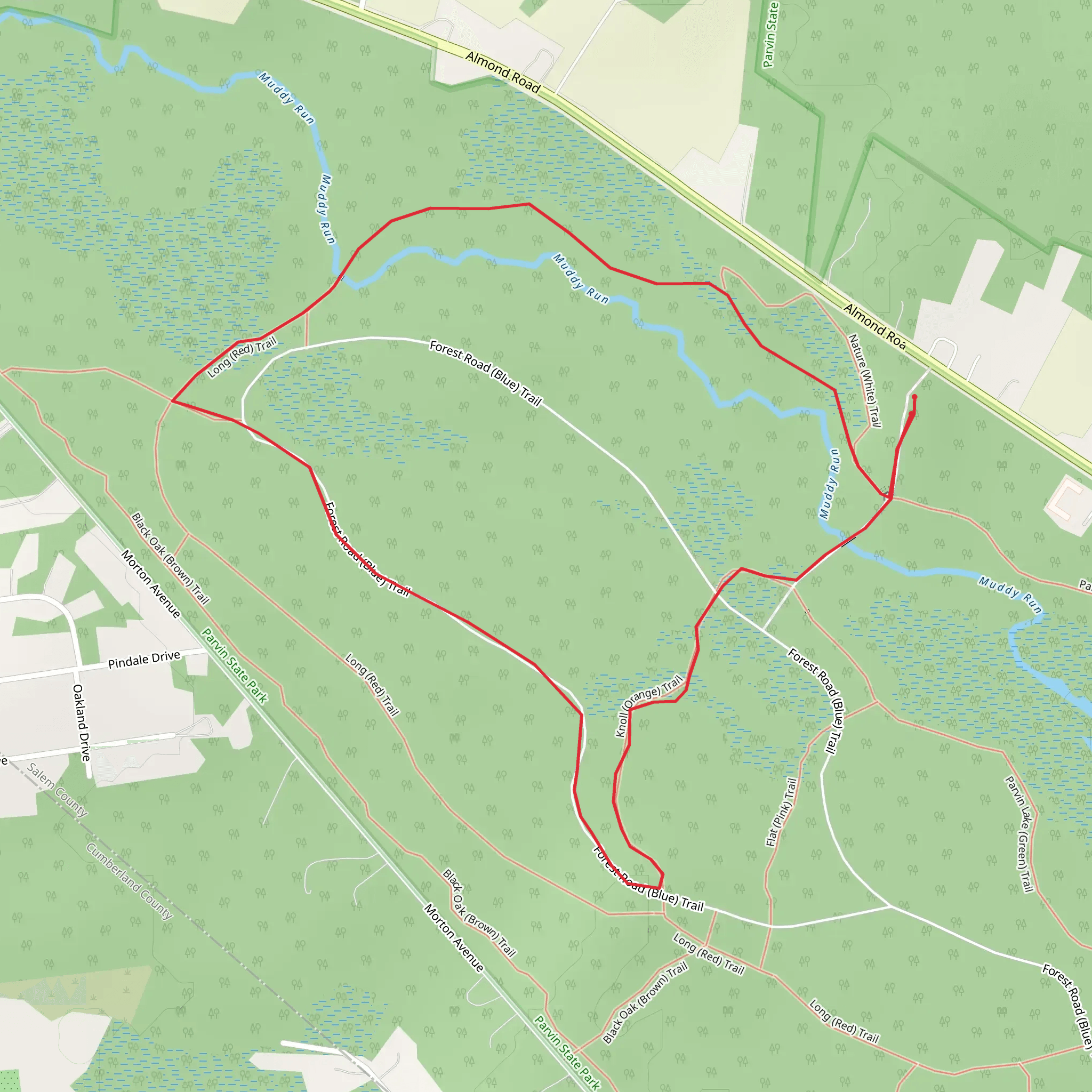 Forest Road - Blue Trail, Knoll - Orange Trail and Muddy Run Loop mobile static map