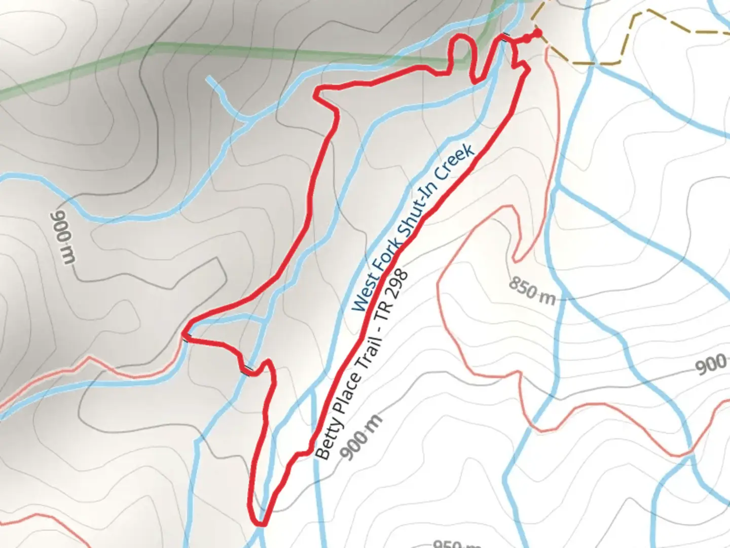 An image depicting the trail Betty Place Trail and its surrounding area.