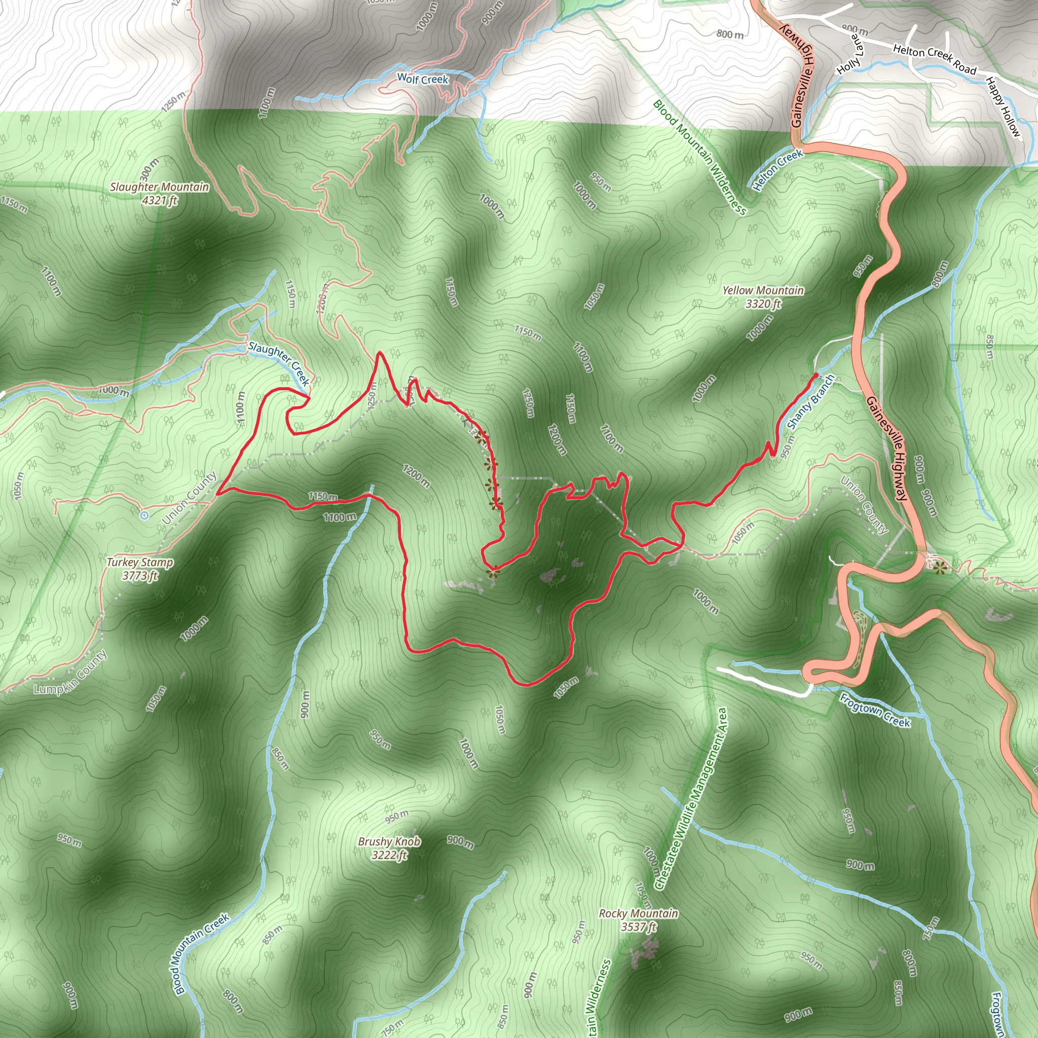 Blood Mountain - Freeman - Byron Herbert Reece Loop mobile static map
