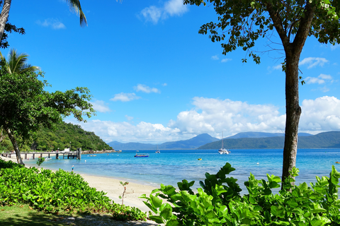 An image depicting the trail Nudey Beach Track and its surrounding area.