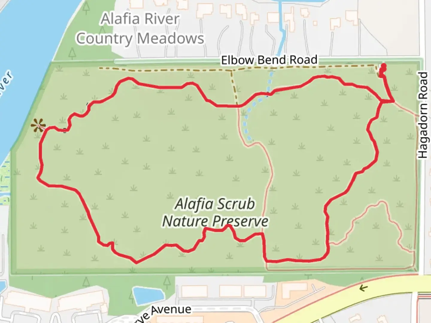 An image depicting the trail Alafia Scrub Nature Preserve Big Loop and its surrounding area.