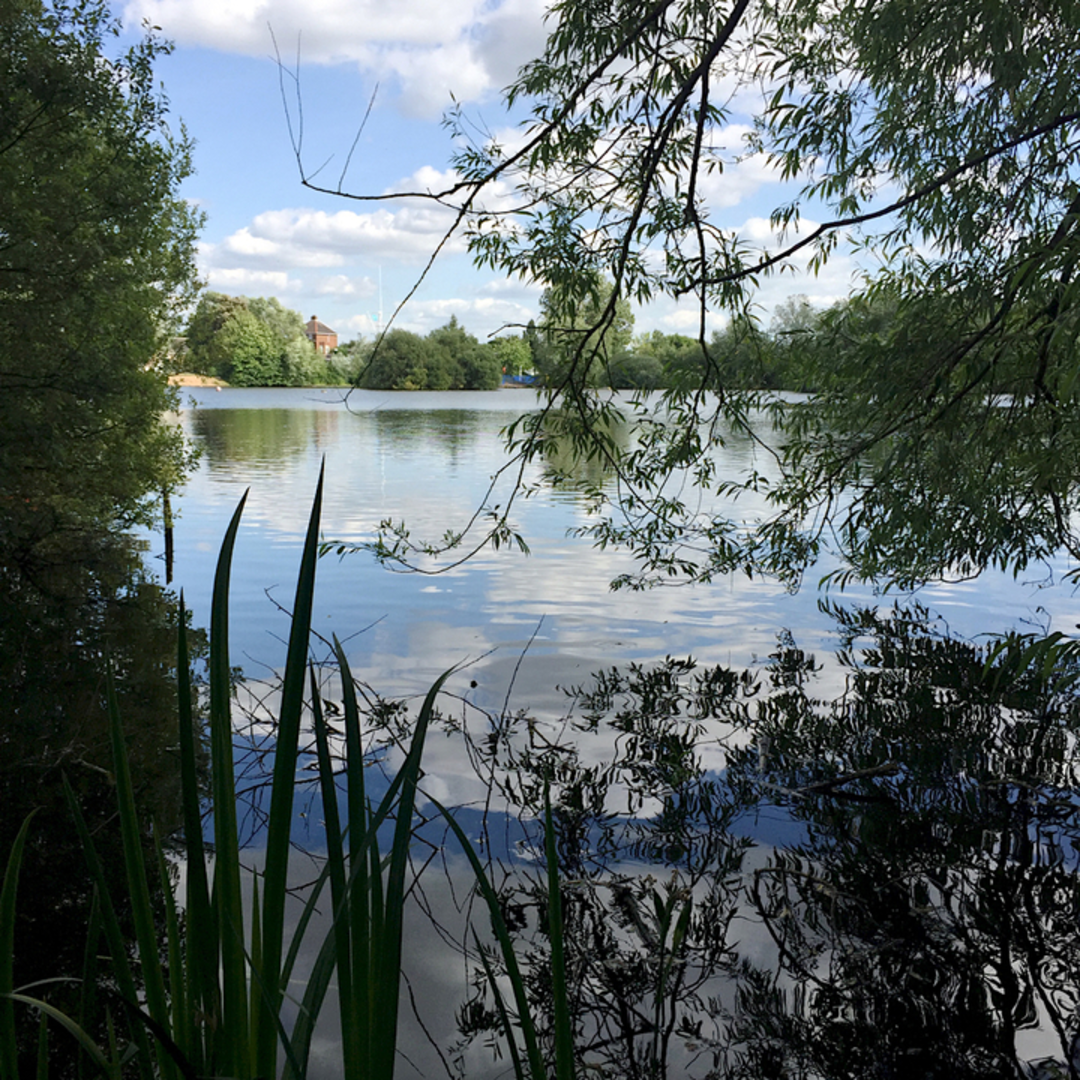 An image depicting the trail Kingfisher Country Park Walk and its surrounding area.