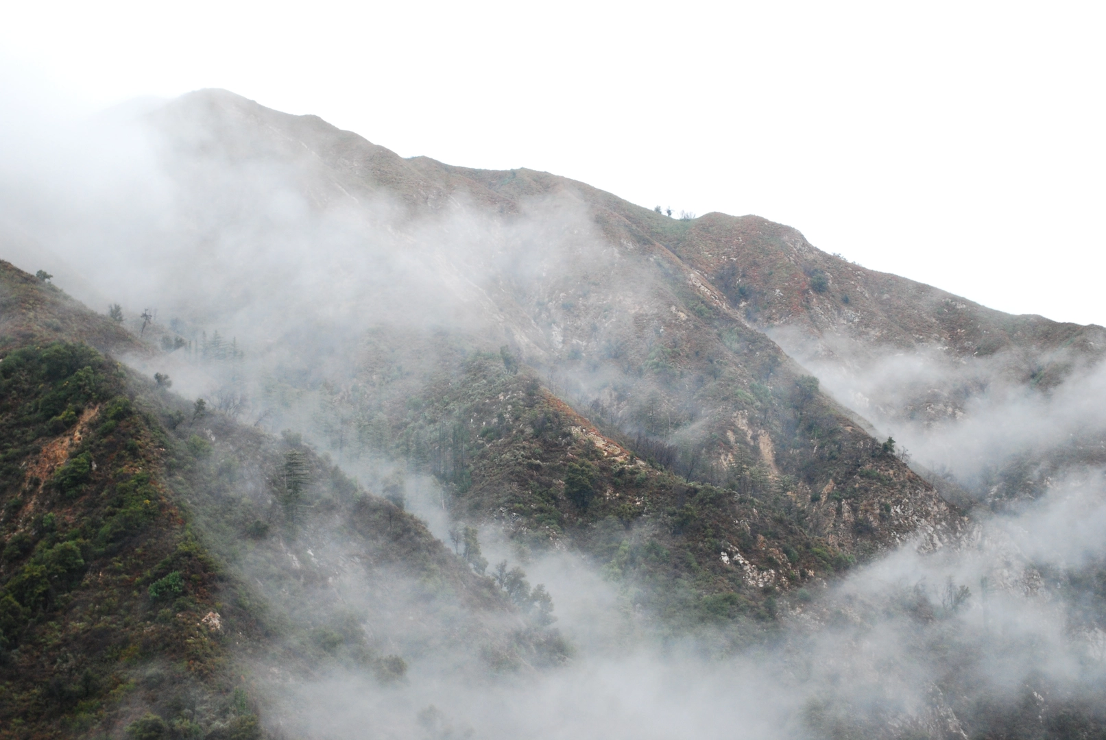 An image depicting the trail The Lakes, Santa Lucia and Indians Road Loop Trail and its surrounding area.