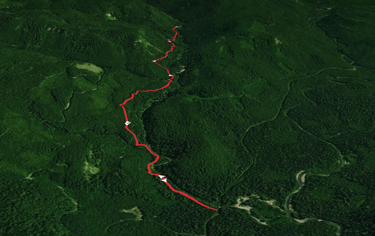 Quartz Creek Trail Out and Back