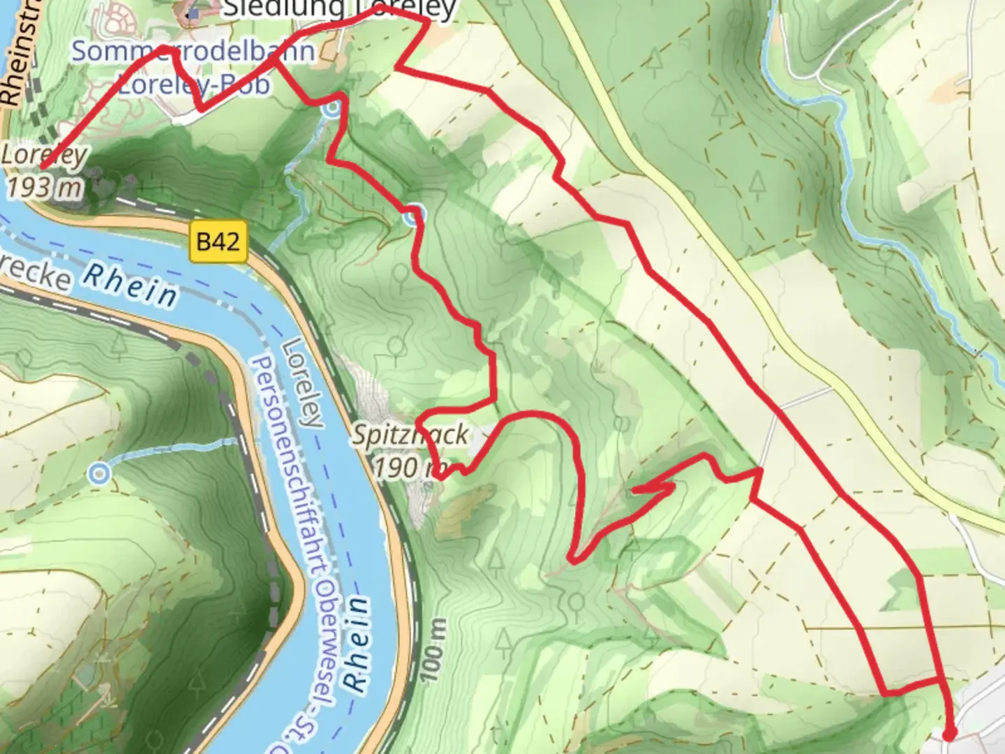 An image depicting the trail Leiselfeld, Spitznack and Loreley Loop via Leiselfelder Weg and its surrounding area.