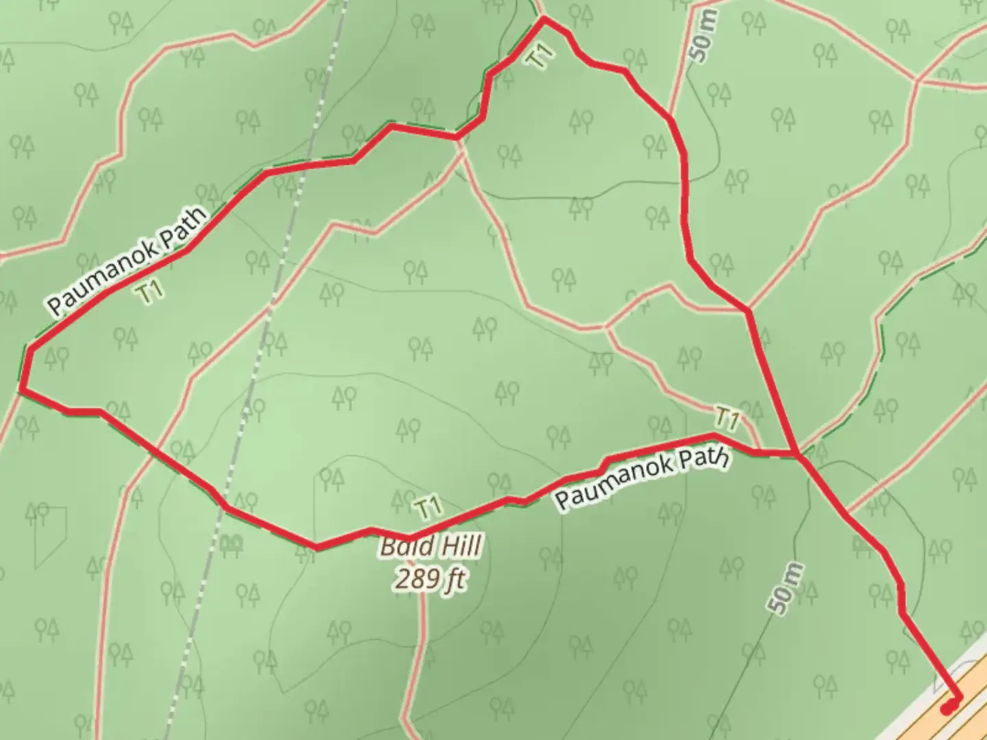 An image depicting the trail Bald Hill via Paumanok Path and its surrounding area.