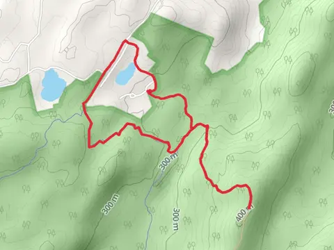 Trout Brook Road and Charcoal Burners Trail Loop - Red