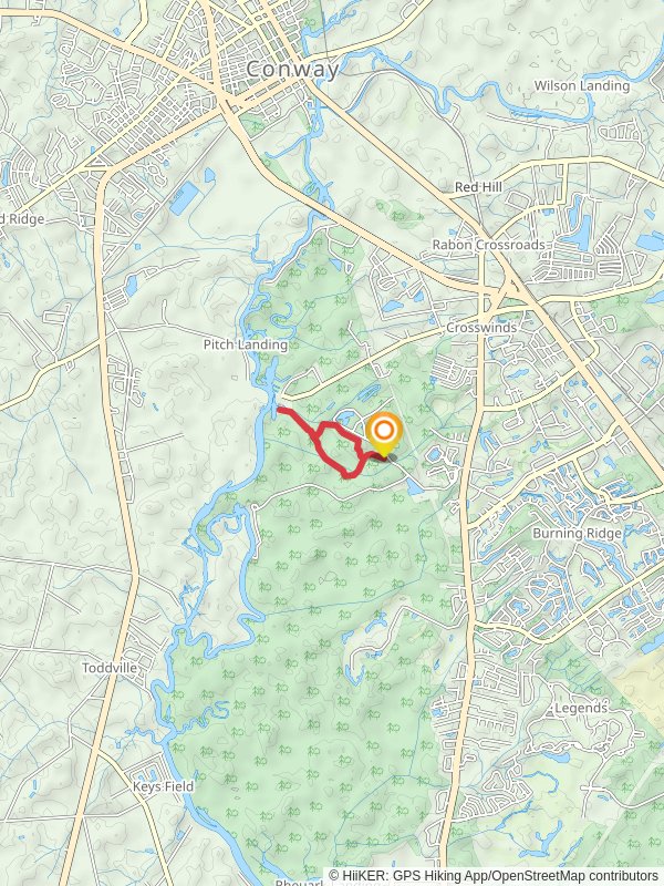 Waccamaw River via Blue and Yellow Loop Trail