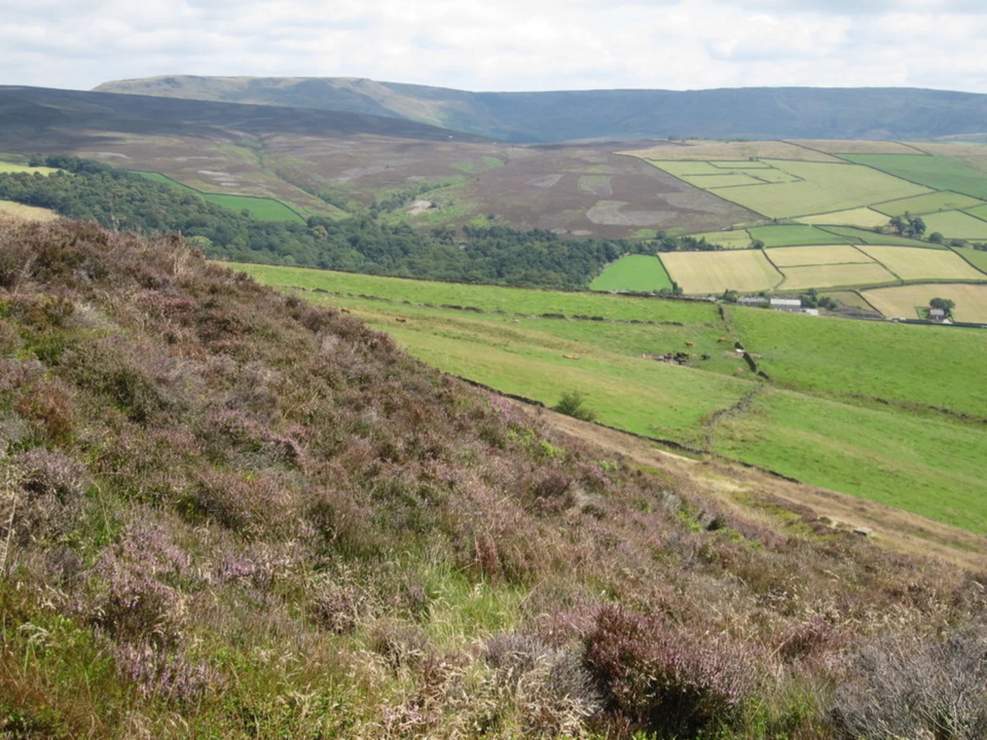An image depicting the trail Lantern Pike and Hayfield Loop via Peak District Boundary Walk and its surrounding area.