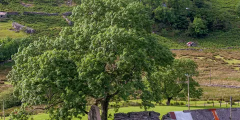 An image depicting the trail The Moelwyns from Croesor and its surrounding area.