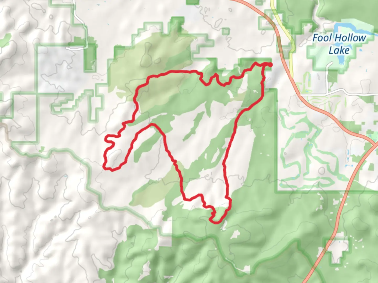 An image depicting the trail Los Caballos Trail and its surrounding area.
