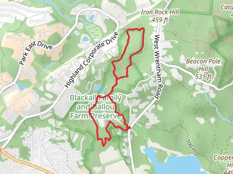 Blue and Yellow Loop Trail