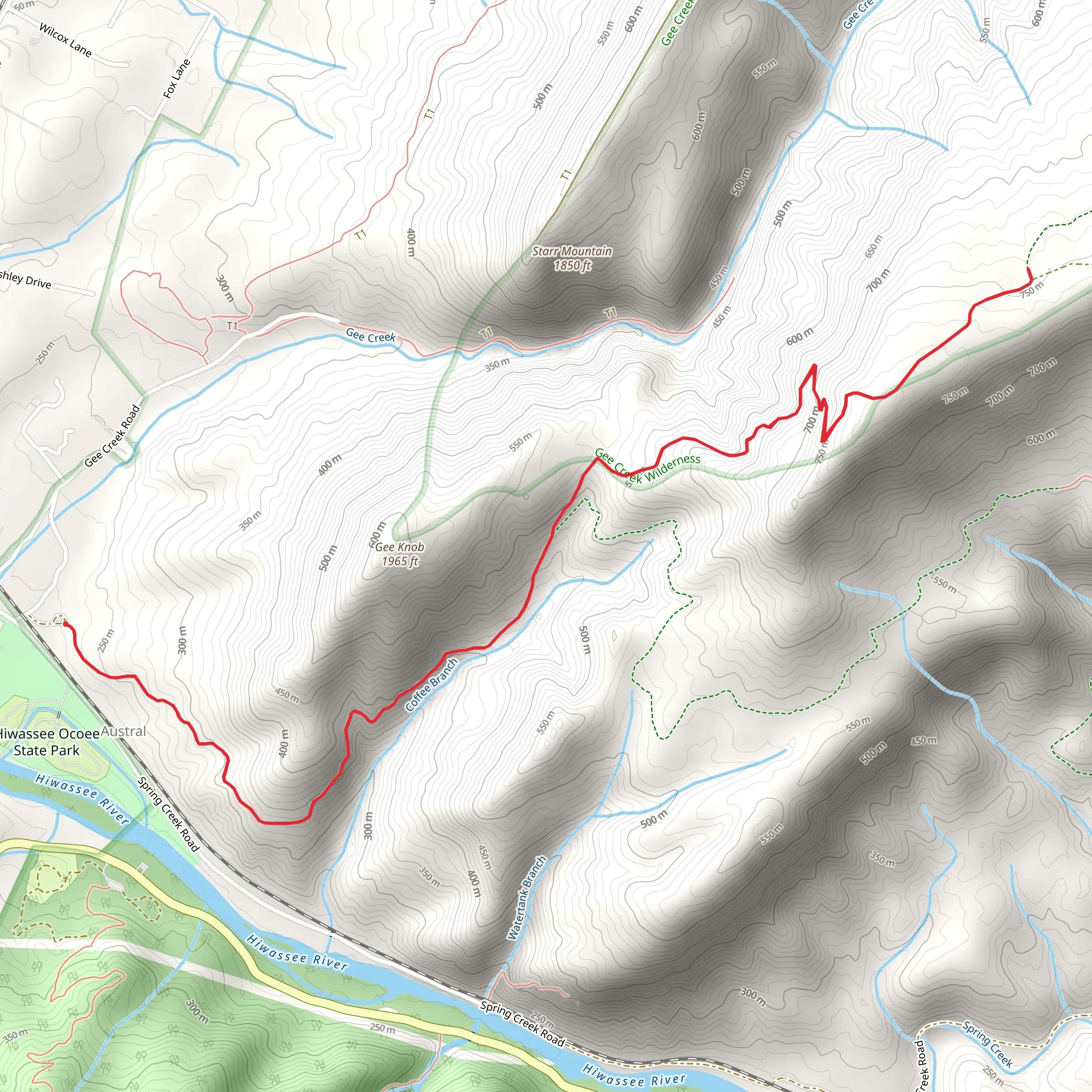 Coffee Branch and Chestnut Mountain Trail mobile static map