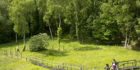 An image depicting the trail Cavenham Heath and Lark Valley from Mildenhall and its surrounding area.