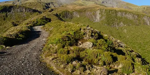 An image depicting the trail Radio Tower to Tahurangi Lodge to Maketawa Track Loop and its surrounding area.