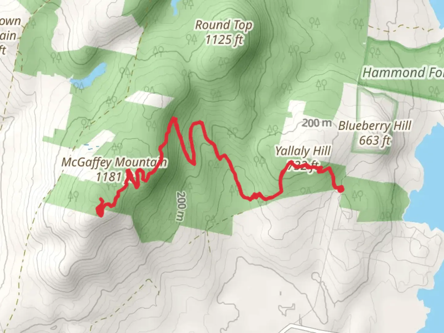 An image depicting the trail Yallaly Hill via A Trail and its surrounding area.