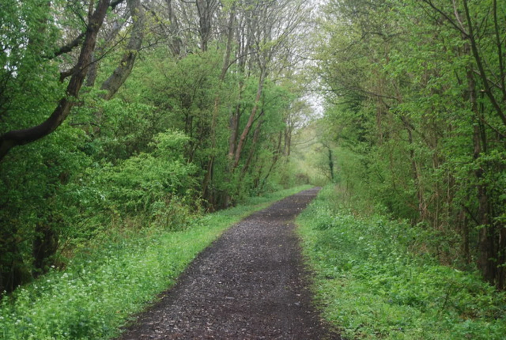 An image depicting the trail Christ's Hospital to Rudgwick Walk and its surrounding area.