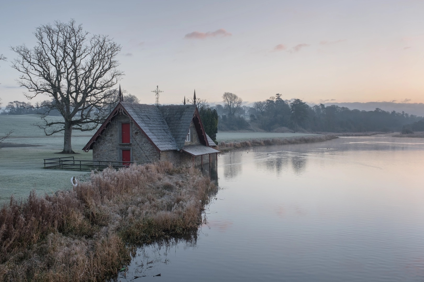 An image depicting the trail Carton House trail and its surrounding area.