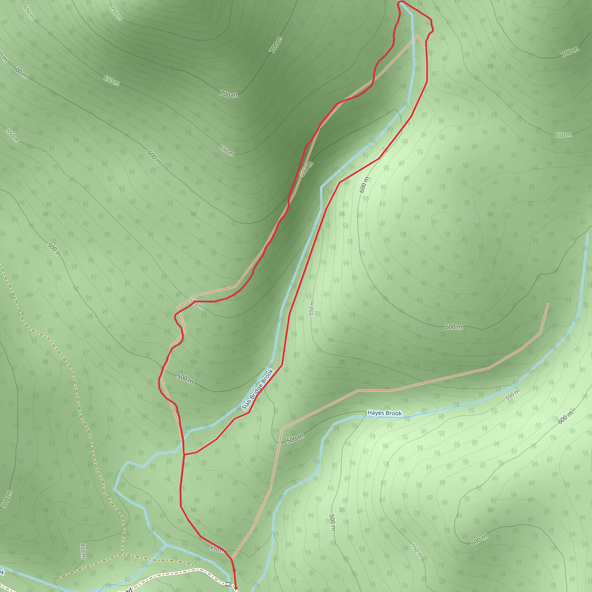 Slab Bridge Brook Loop Trail mobile static map