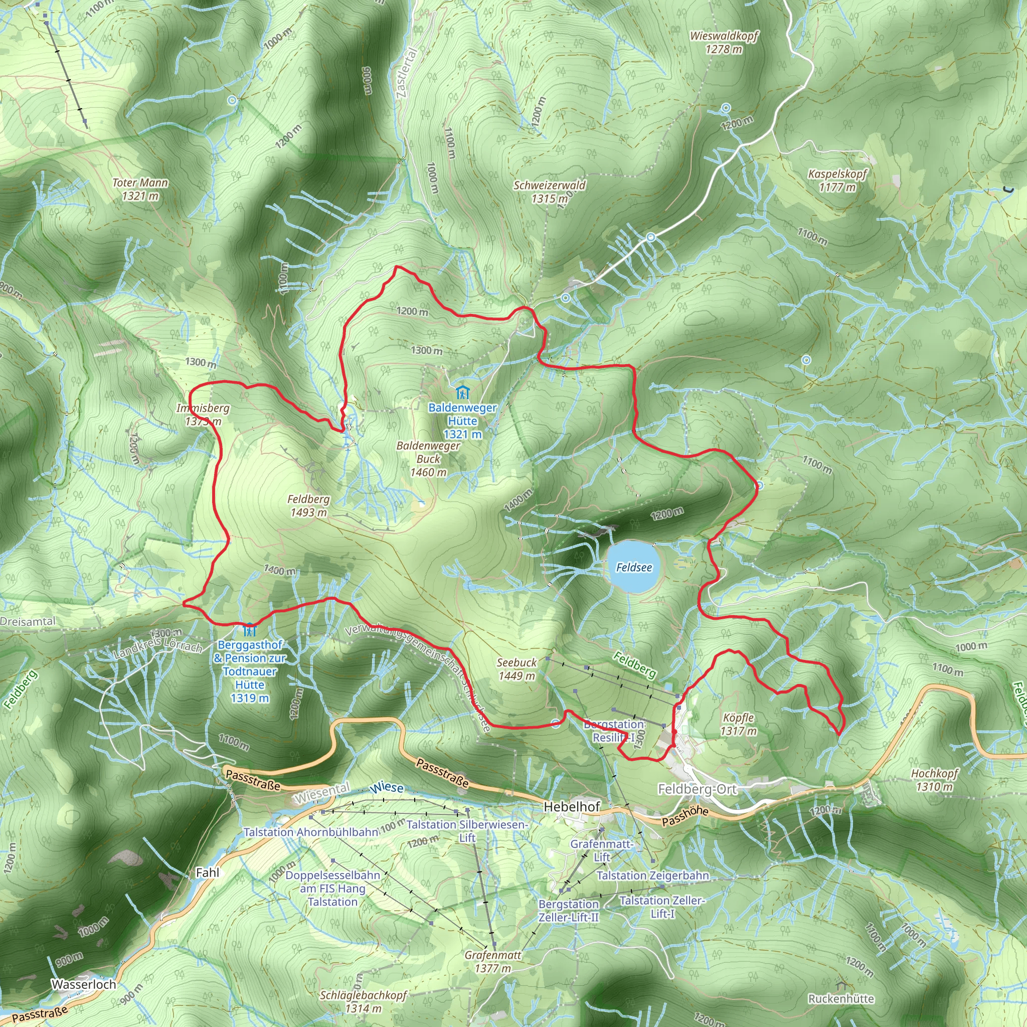 Immisberg and Feldseemoor Loop - Feldberg mobile static map
