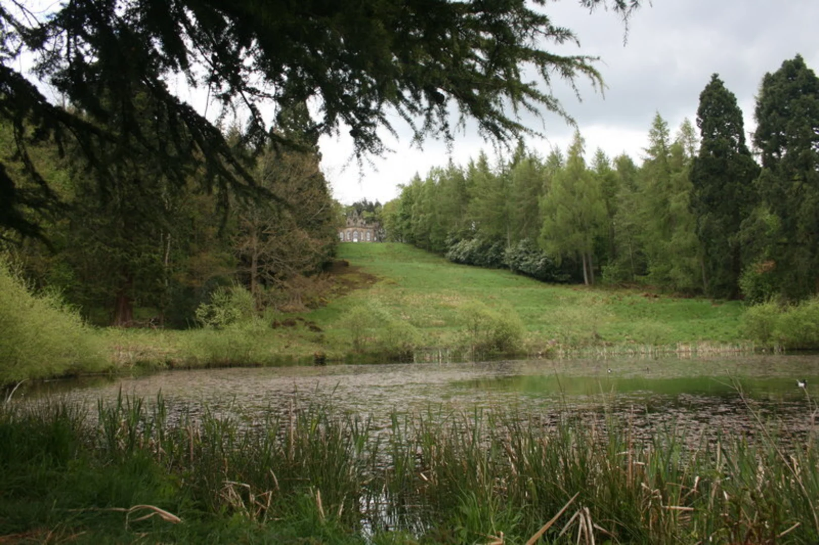 An image depicting the trail Gibside Rowlands Gill Loop and its surrounding area.