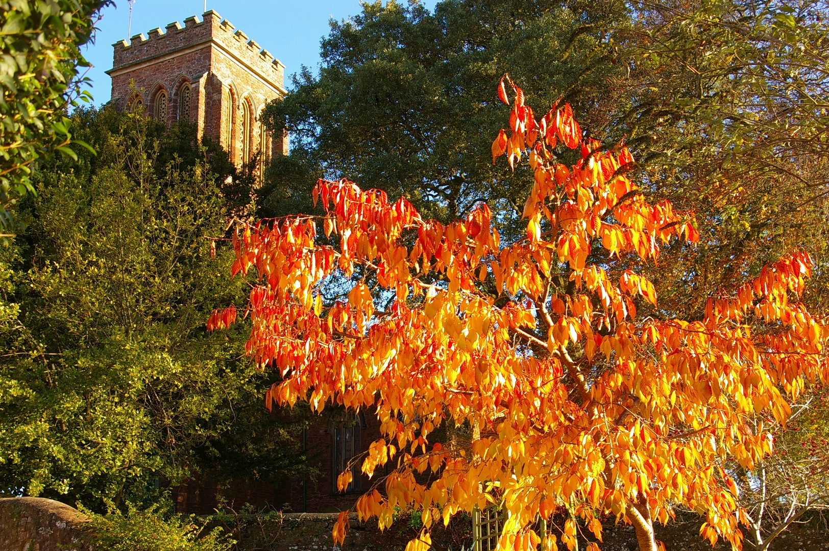 An image depicting the trail West Deane Way and its surrounding area.