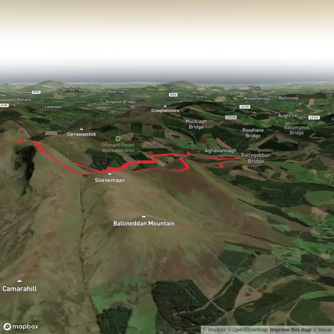 An image depicting the trail Corrigasleggaun, Log na Coille and Lybagh Leadhbach Loop and its surrounding area.