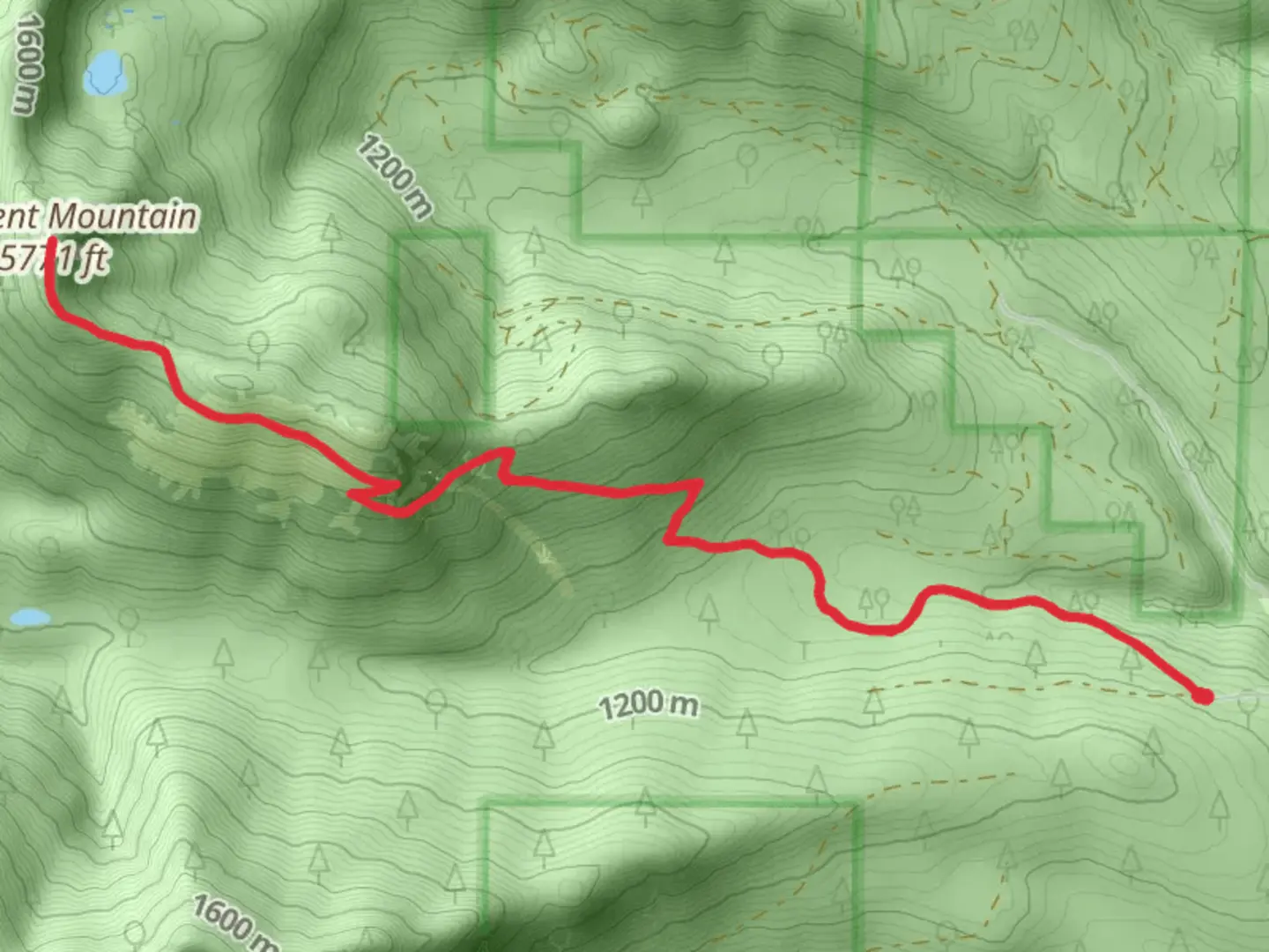 An image depicting the trail Crescent Mountain Trail from Forest Road 508 and its surrounding area.