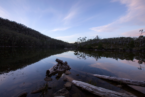 An image depicting the trail Mount Field West Walk and its surrounding area.