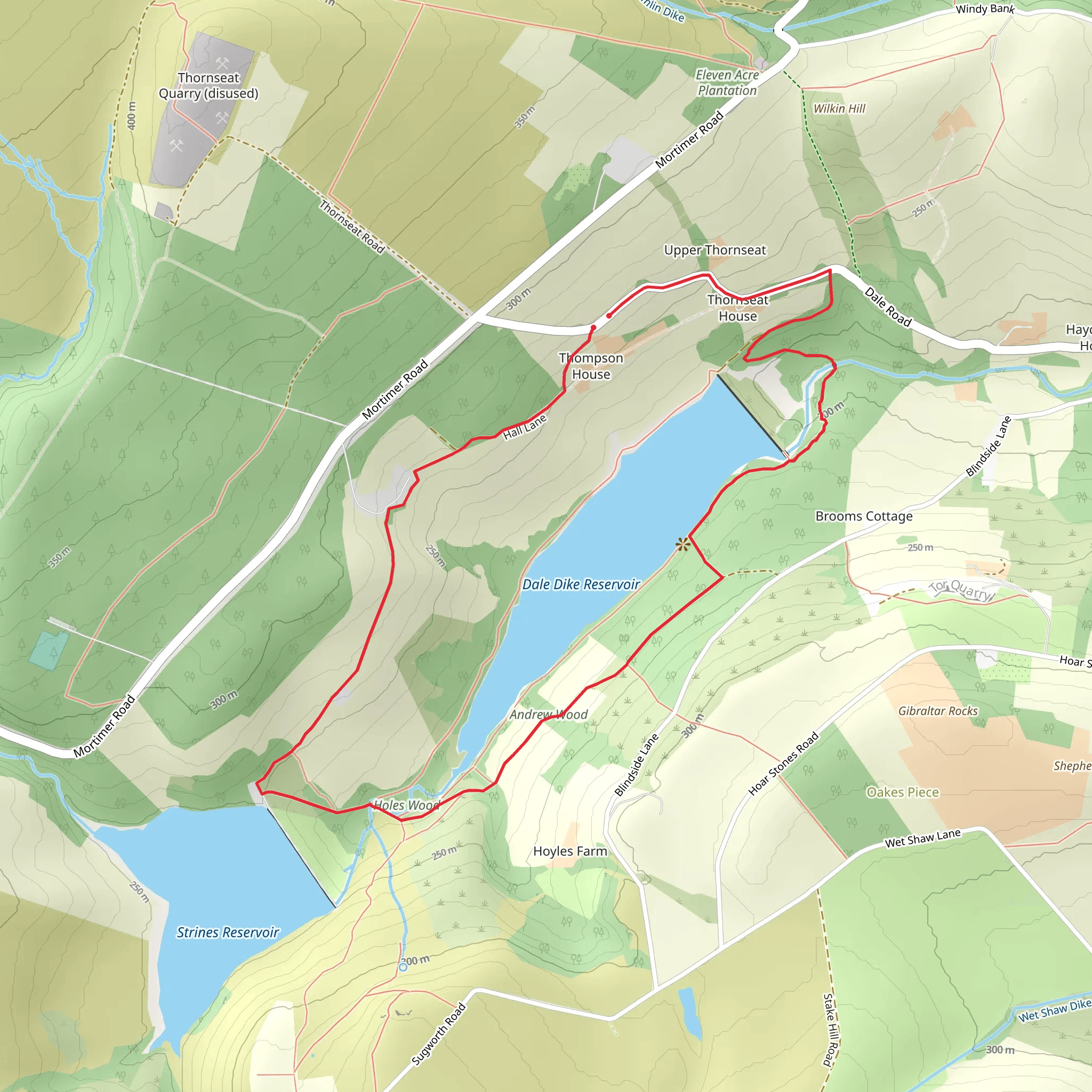 Dale Dike Reservoir mobile static map