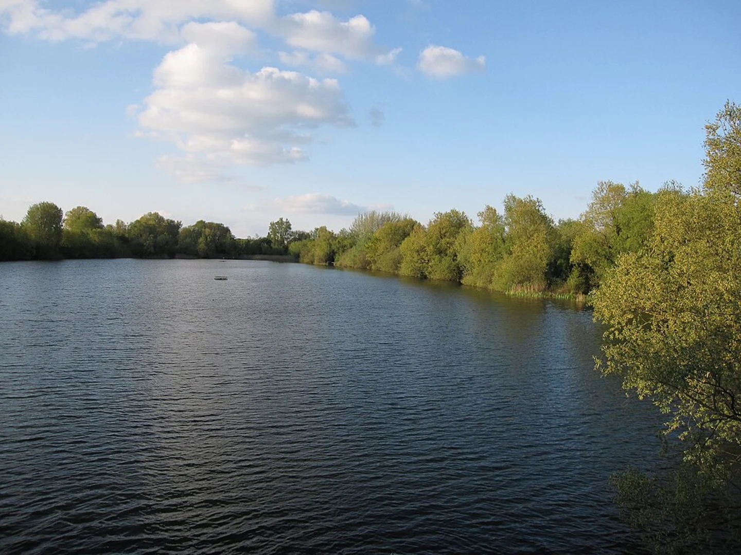 An image depicting the trail Dickerson's Pit Loop - Milton Country Park and its surrounding area.
