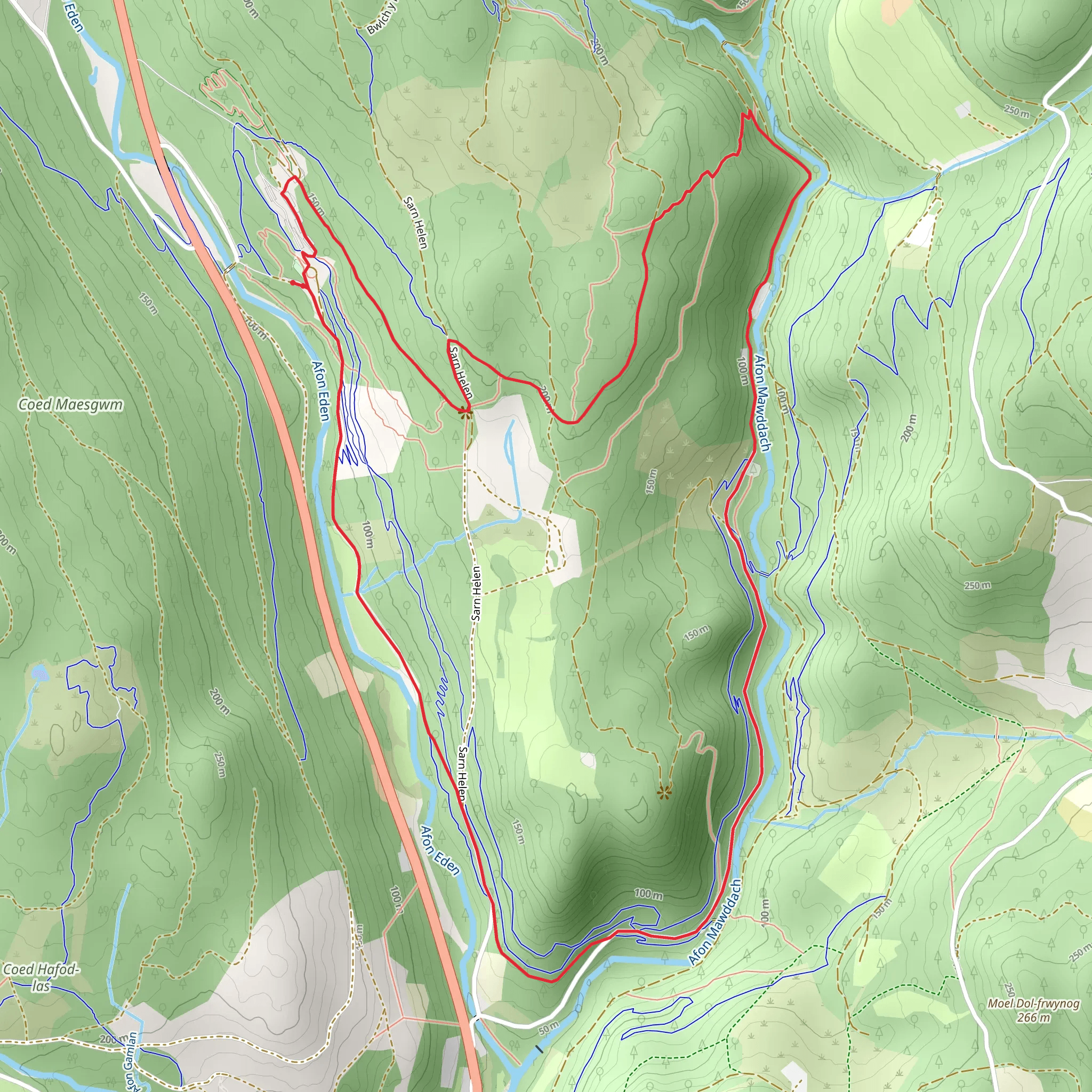 Coed Y Brenin Forest Park Walk mobile static map