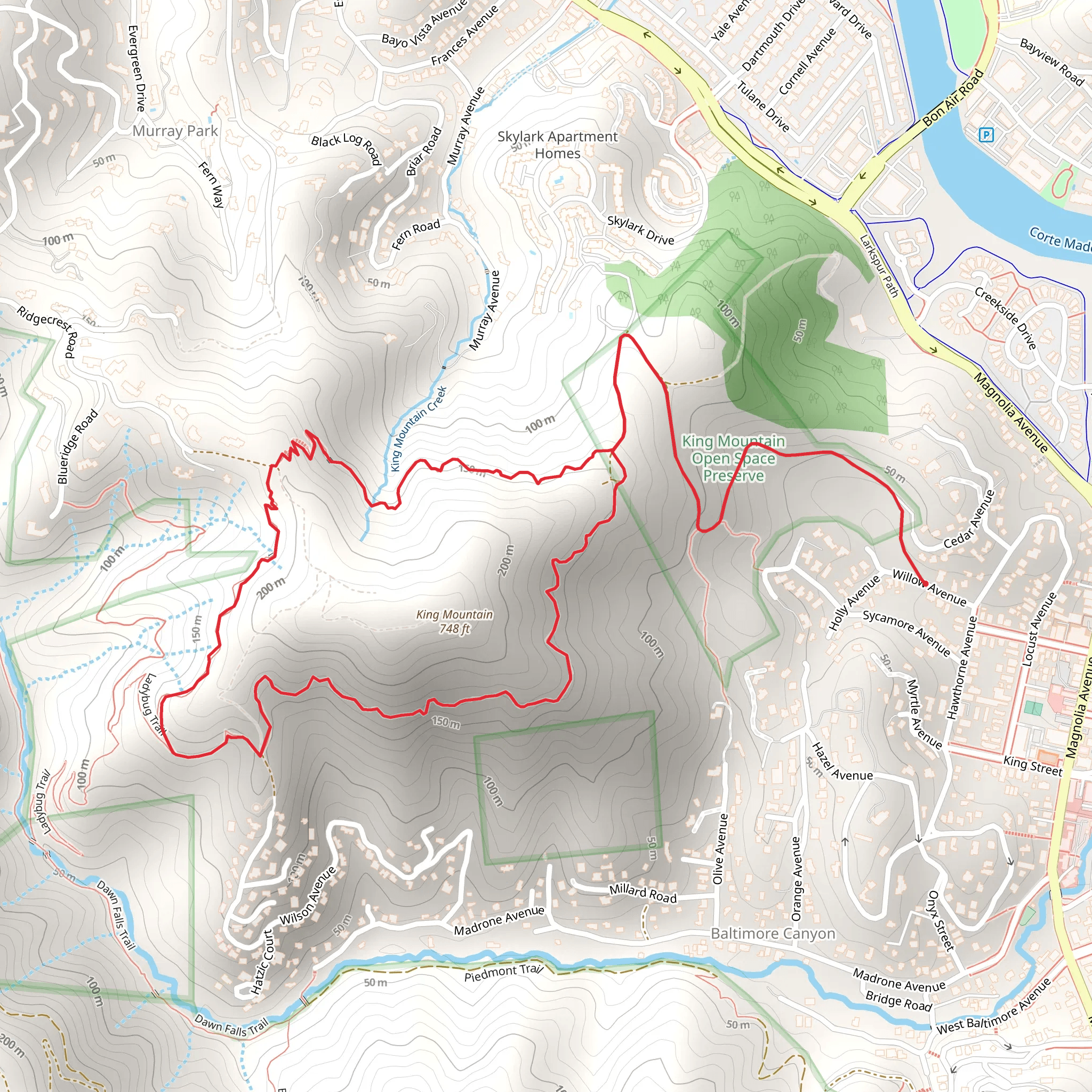 King Mountain Loop Trail mobile static map