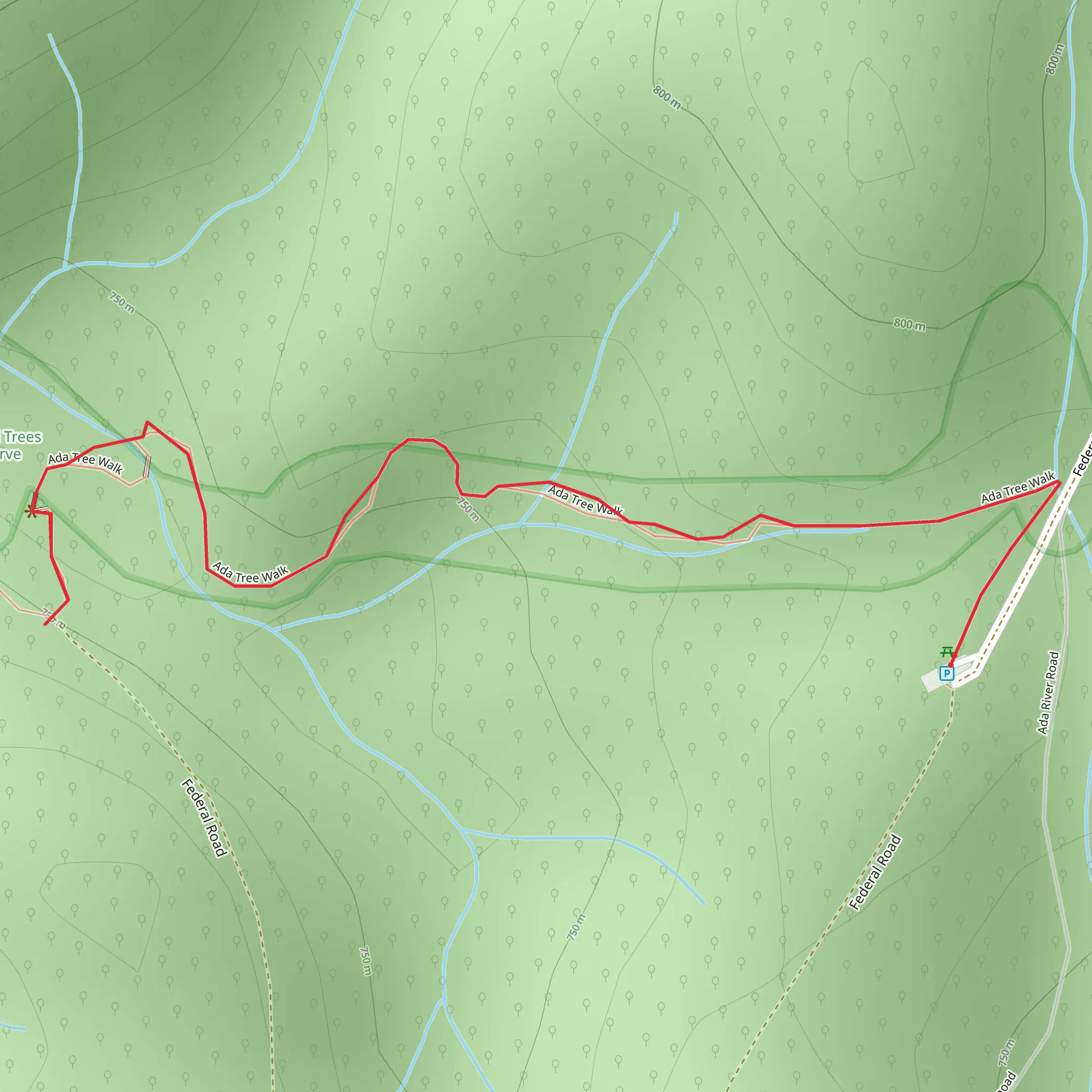 Ada Tree Rainforest Walk mobile static map