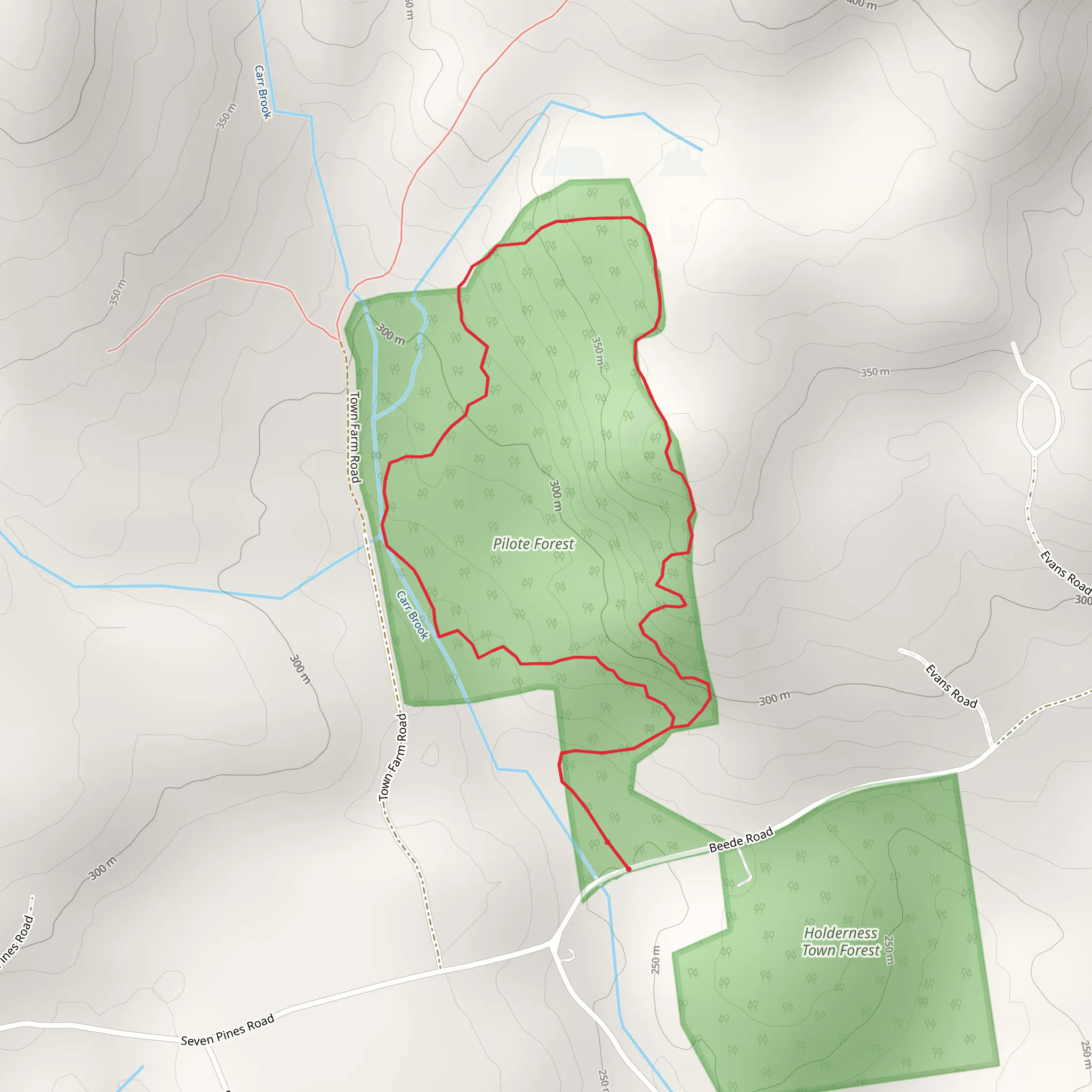 Town Forest North Loop - Beede Road mobile static map
