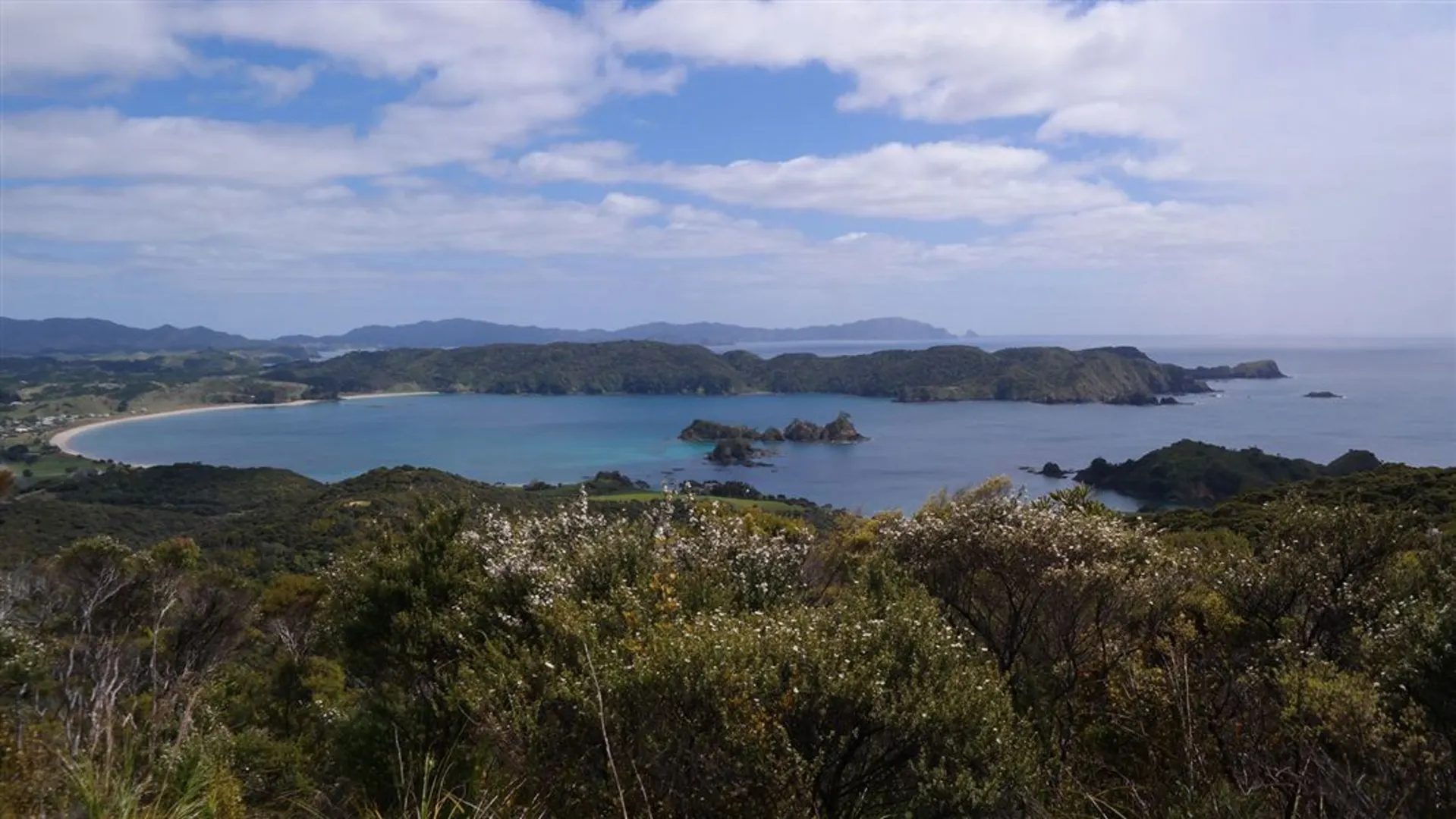 An image depicting the trail Whangaruru North Head - Full Loop Track and its surrounding area.